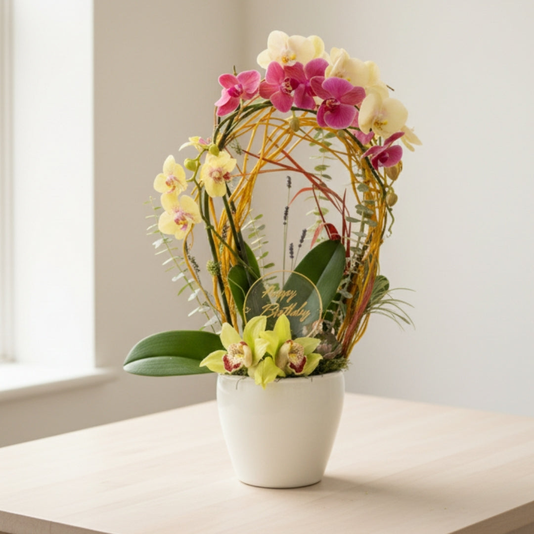 Sublime Orchid 1 – Elegancia Tropical en Blanco y Amarillo