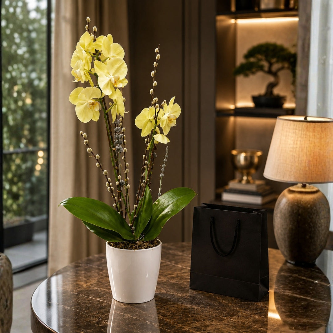 Classic Orchid – White Orchid with Pussy Willow in Elegant Base