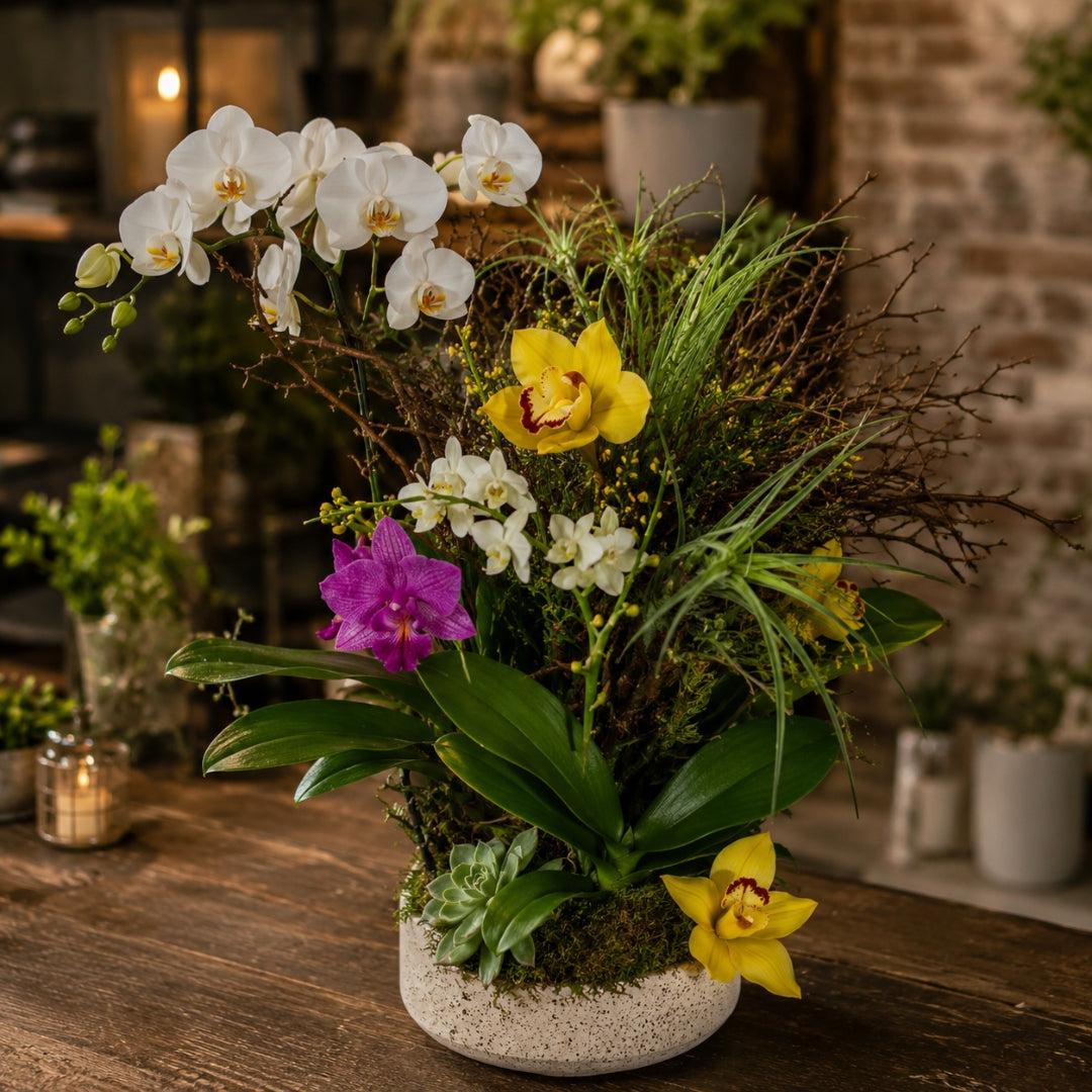 Orchid Soul – Orchid Arrangement for Elegant Spaces