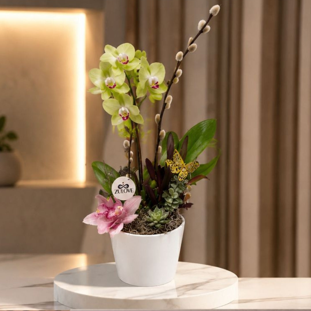 Pure Elegance 1 – Orchids in Natural Harmony