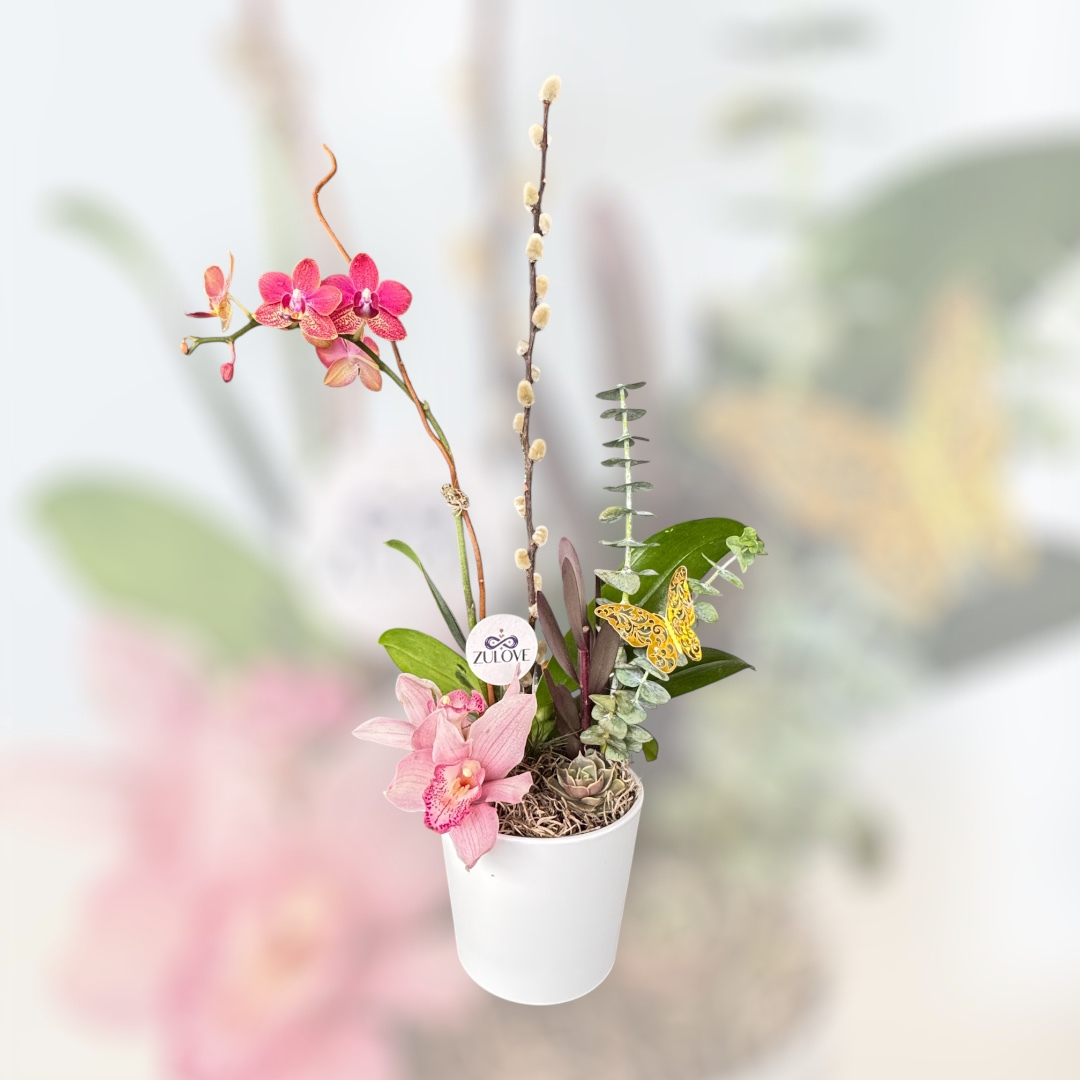 Pure Elegance 1 – Orchids in Natural Harmony