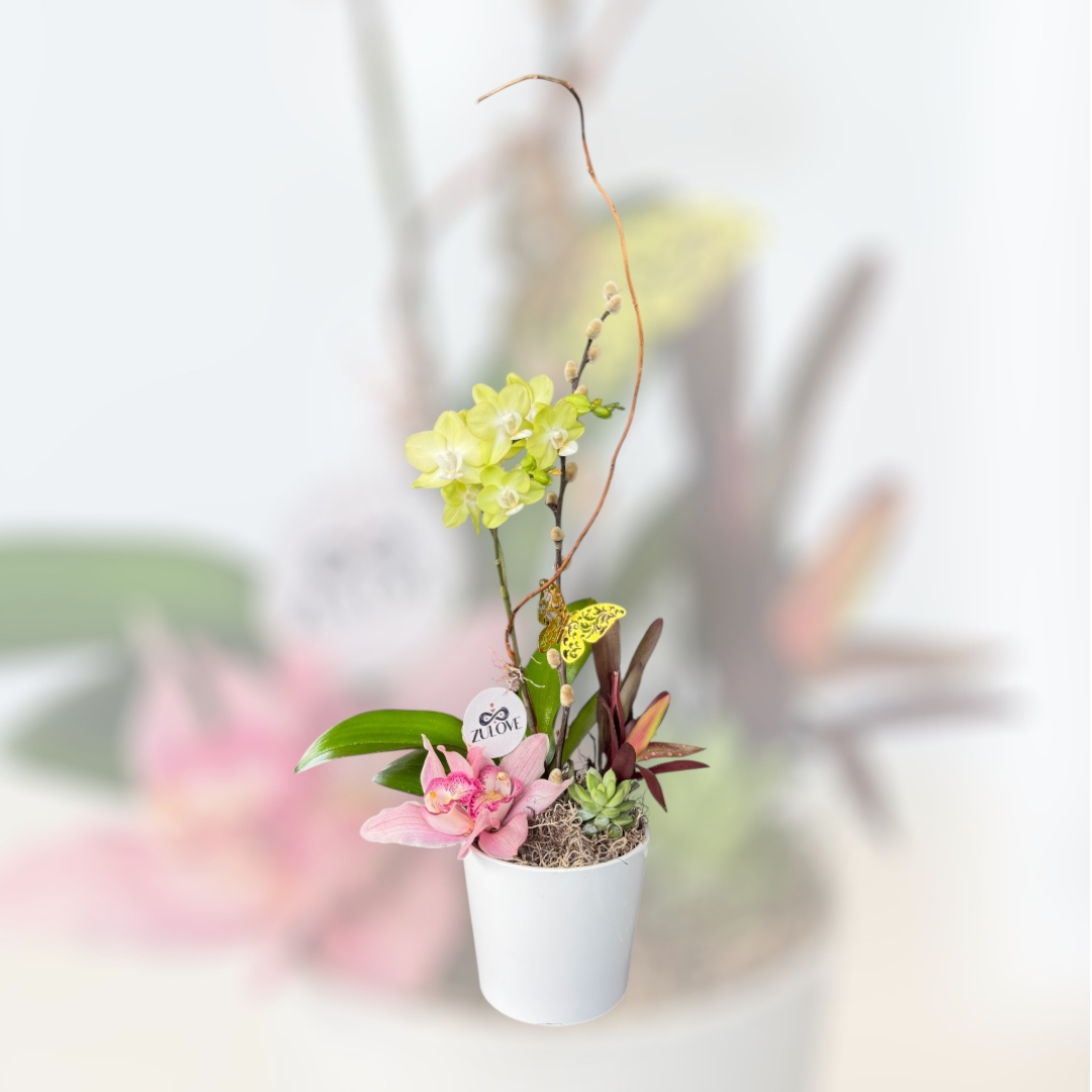 Pure Elegance 1 – Orchids in Natural Harmony