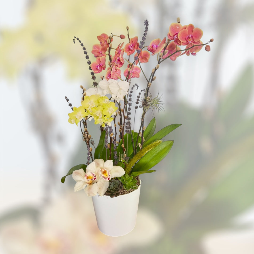 Sublime Orchid 2 – Elegant Arrangement in White Base