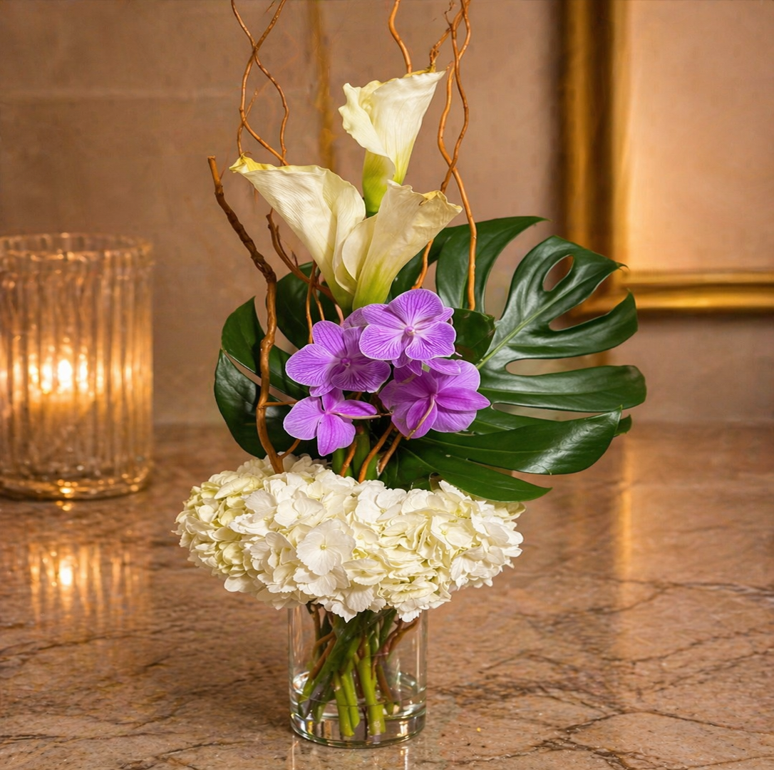 Zulove Sculpted Elegance – Modern Edition