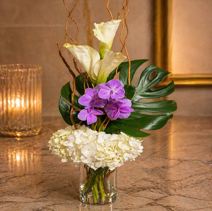 Zulove Sculpted Elegance – Modern Edition