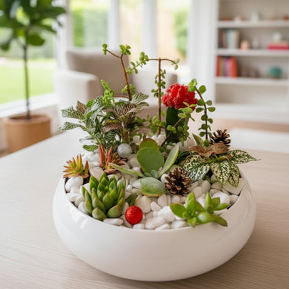 Zulove Serene Garden – Succulents & Natural Touches
