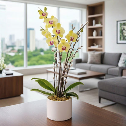 white orchid pussy willow arrangement puerto rico elegant