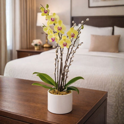 Classic Orchid – White Orchid with Pussy Willow in Elegant Base
