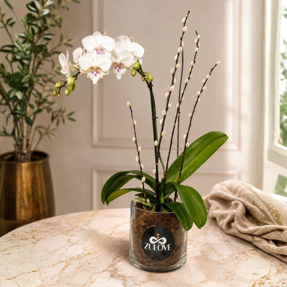 Classic Orchid II – Orquídea Blanca en Base de Cristal con Detalle en Madera