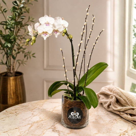 Classic Orchid II – White Orchid in Crystal Base with Natural Wood Accent