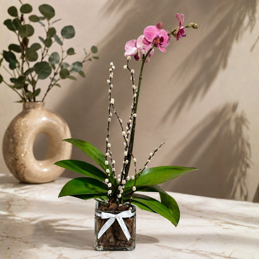 Classic Orchid II – Orquídea Blanca en Base de Cristal con Detalle en Madera