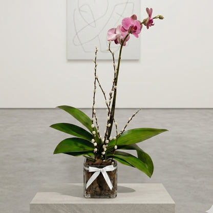 Classic Orchid II – White Orchid in Crystal Base with Natural Wood Accent