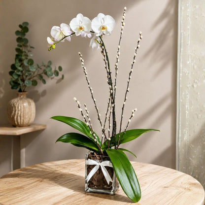 Classic Orchid II – White Orchid in Crystal Base with Natural Wood Accent