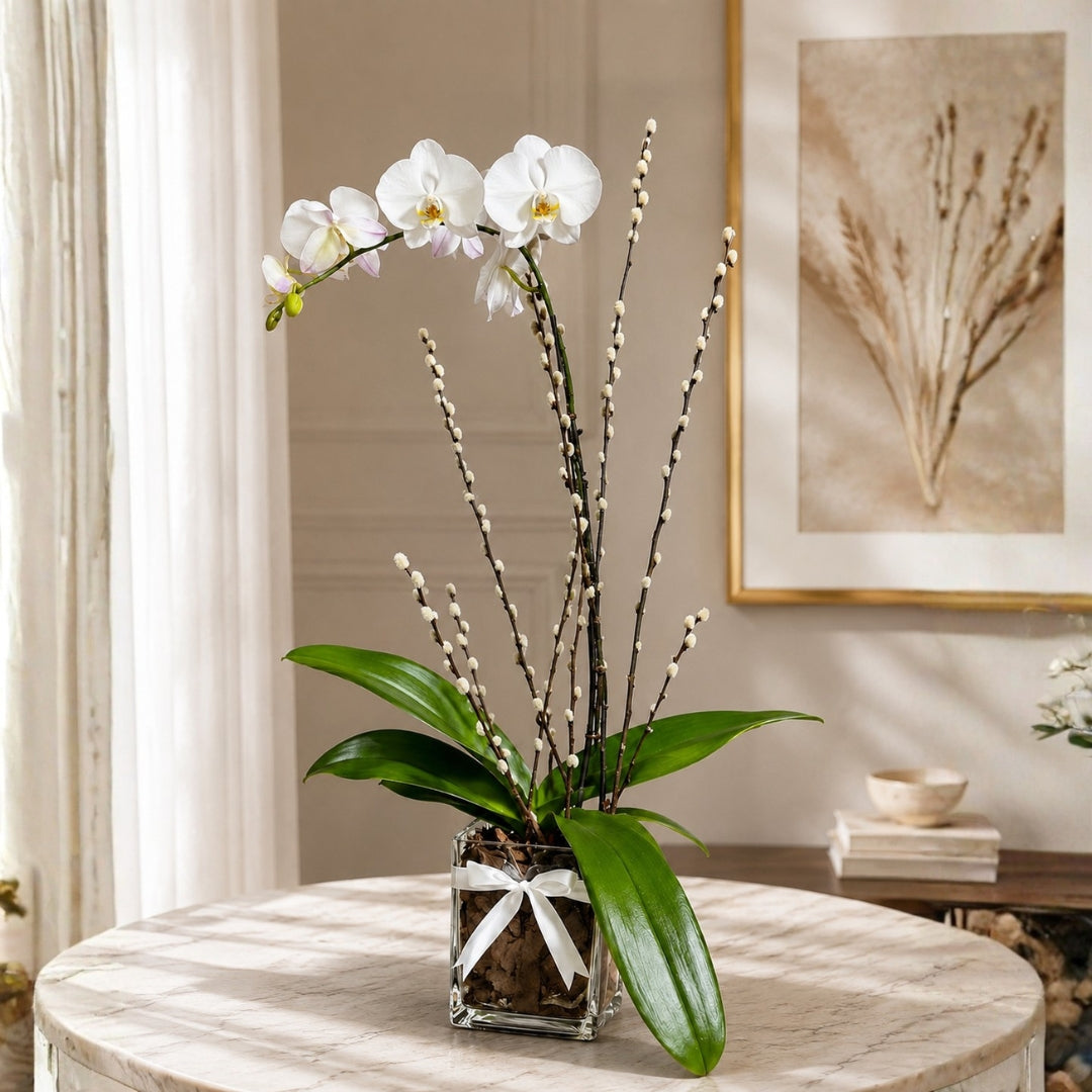 Classic Orchid II – White Orchid in Crystal Base with Natural Wood Accent