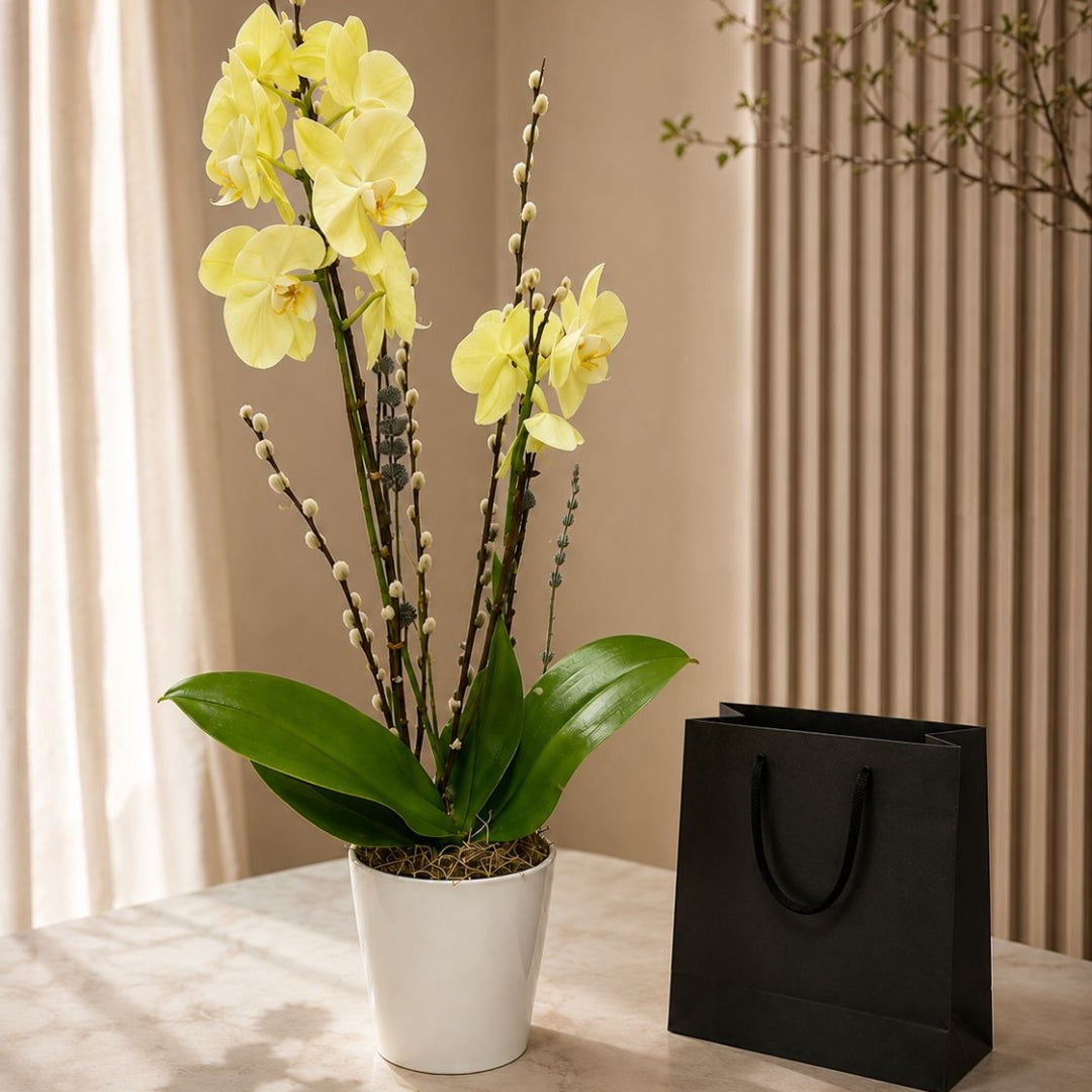 Classic Orchid – White Orchid with Pussy Willow in Elegant Base