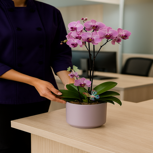 Natural Elegance - Violet Phalaenopsis Orchid