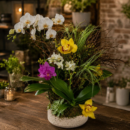 Orchid Soul – Orchid Arrangement for Elegant Spaces
