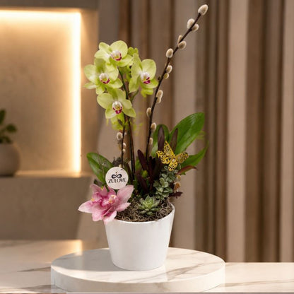 Pure Elegance 1 – Orchids in Natural Harmony