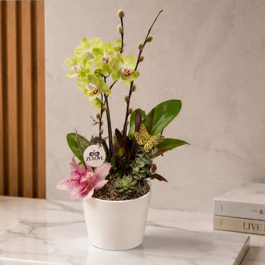 Pure Elegance 1 – Orchids in Natural Harmony
