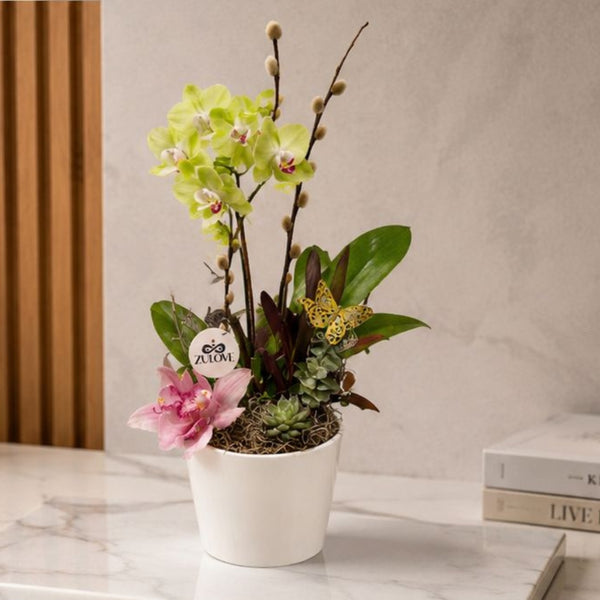 Pure Elegance 1 – Orchids in Natural Harmony