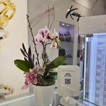 Pure Elegance 1 – Orchids in Natural Harmony