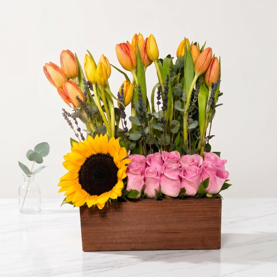 Zulove Solara – Wooden Bloom Edition