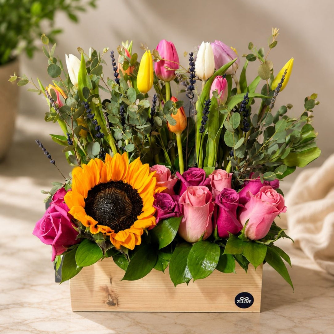 Zulove Solara – Wooden Bloom Edition