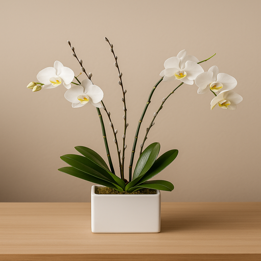 Orquídea sublime