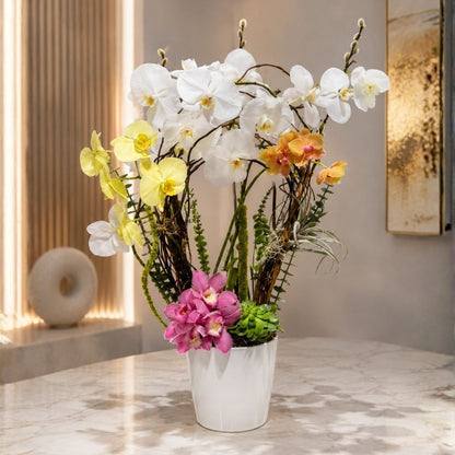 Sublime Orchid 1 – Tropical Elegance in White & Yellow