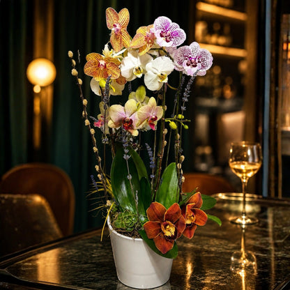 Sublime Orchid 2 – Elegant Arrangement in White Base