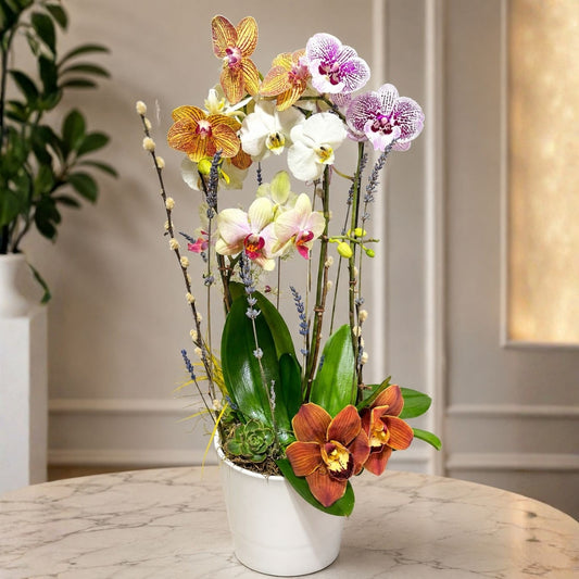 Sublime Orchid 2 – Elegant Arrangement in White Base