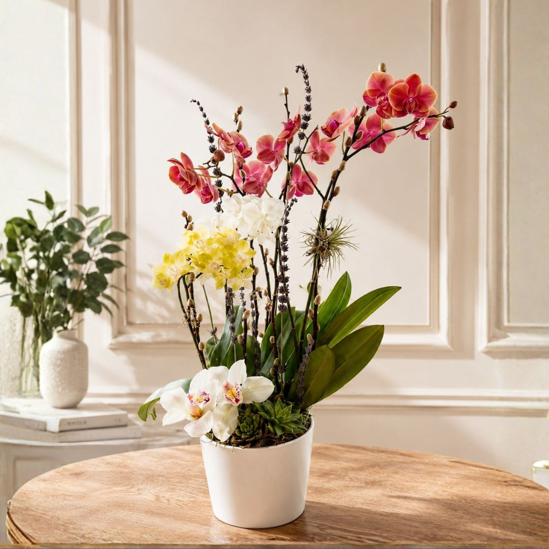 Sublime Orchid 2 – Elegant Arrangement in White Base