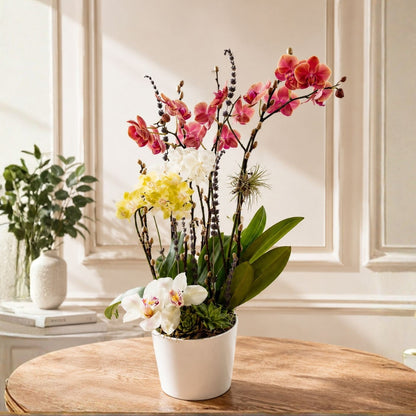 Sublime Orchid 2 – Elegant Arrangement in White Base