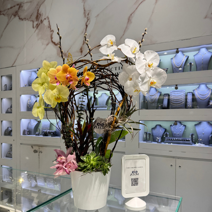 Sublime Orchid 1 – Tropical Elegance in White & Yellow