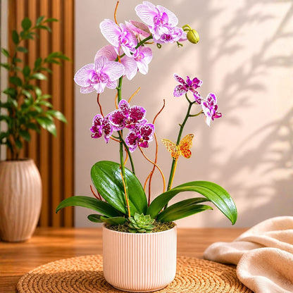 Zulove Serenity Bloom – Orchid Arrangement in Elegant Pot