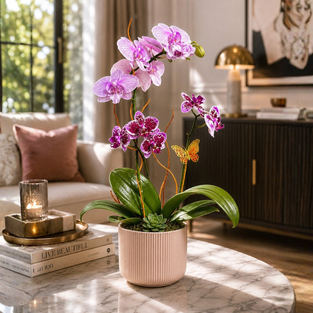 Zulove Serenity Bloom – Orchid Arrangement in Elegant Pot