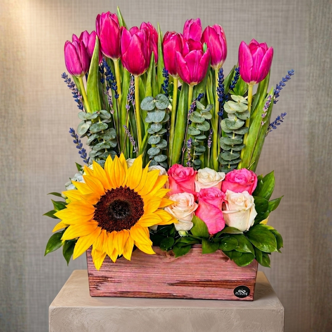 Zulove Solara – Wooden Bloom Edition