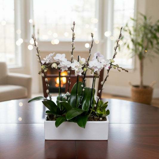 double white phalaenopsis orchid rectangular base puerto rico elegant