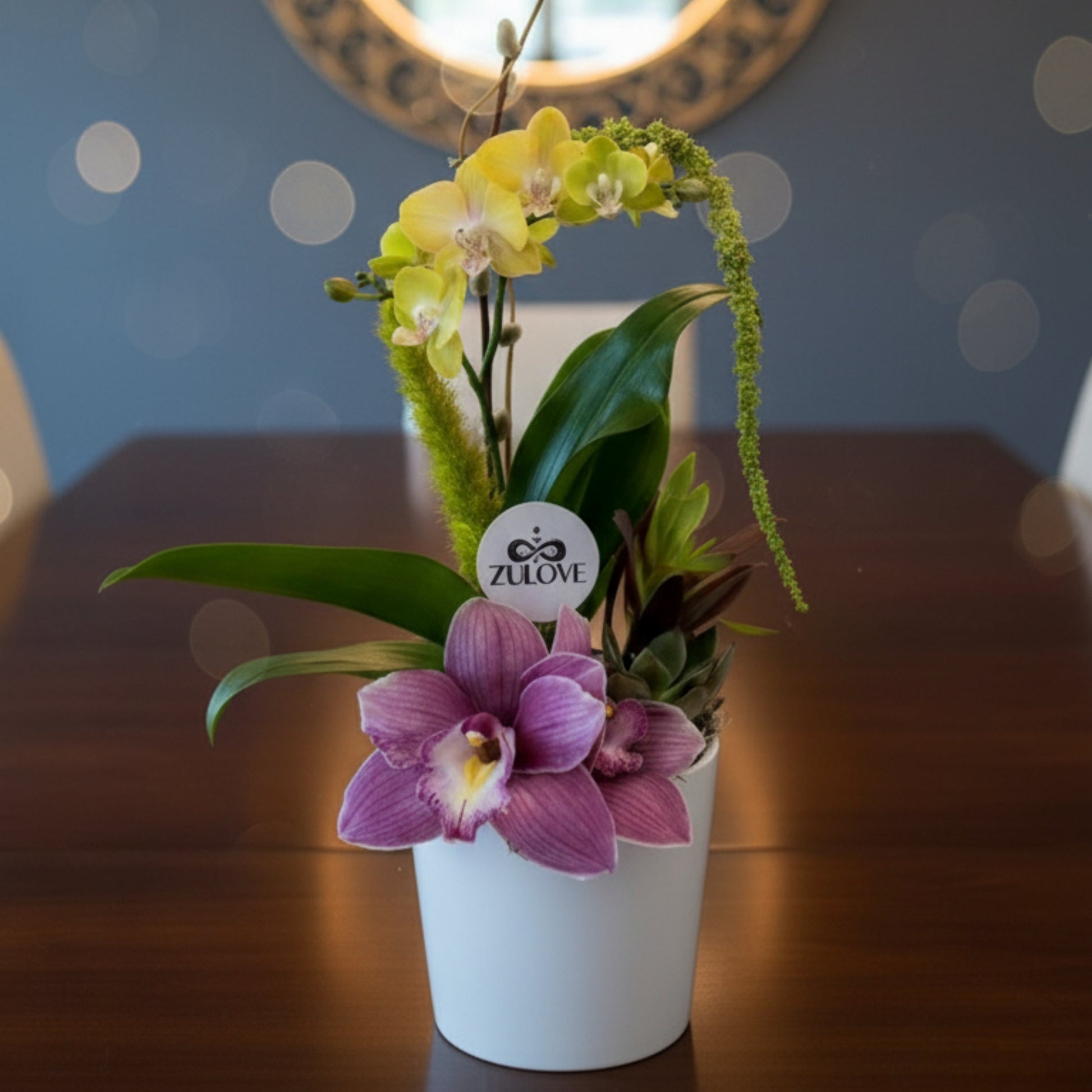  orchid cymbidium arrangement ceramic base puerto rico elegant