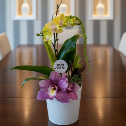 orchid cymbidium arrangement ceramic base puerto rico elegant