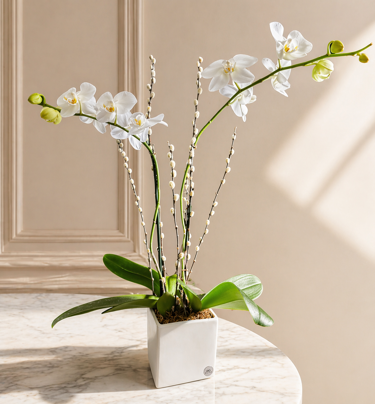 orquidea blanca arreglo ceramica puerto rico elegante